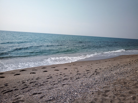 Playa el Algarrobico