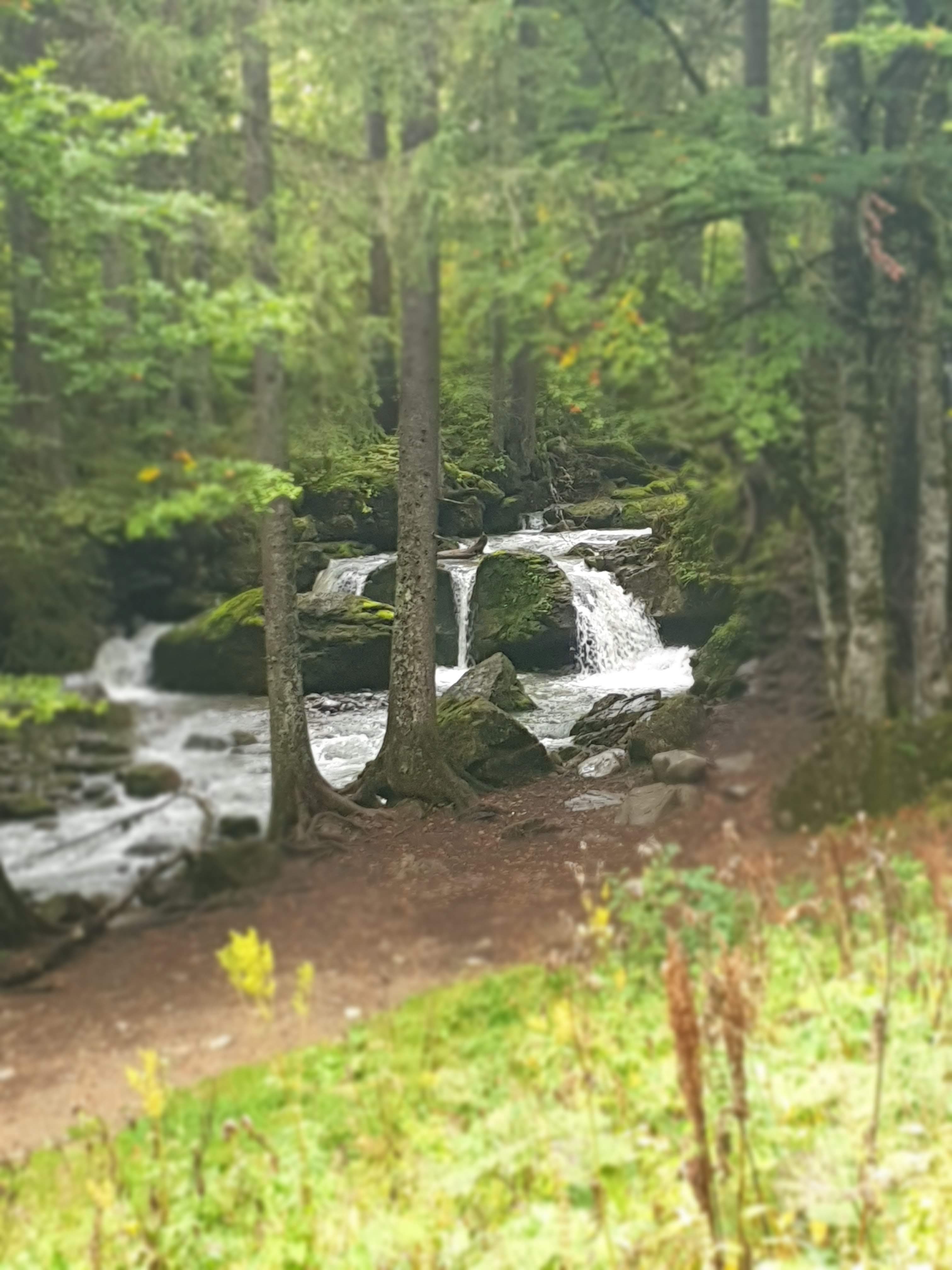 Photo n° 8 de l'avis de Tatiana.o fait le 23/10/2019 à 04:47