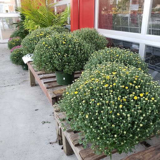 Produce Market «Southside Produce Co Inc», reviews and photos, 8240 Perkins Rd, Baton Rouge, LA 70810, USA