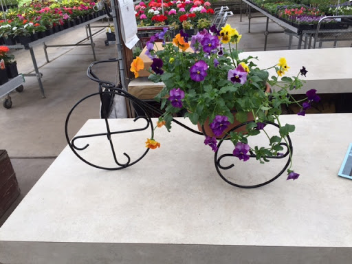 Florist «Pletschers», reviews and photos, 641 Old Hwy 8 SW, New Brighton, MN 55112, USA