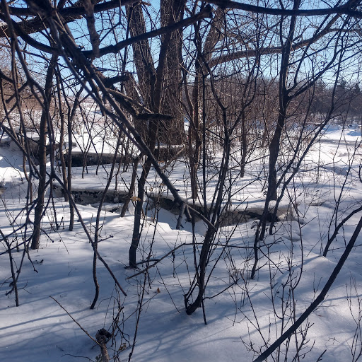 Nature Preserve «Buffalo Creek Forest Preserve», reviews and photos, 18163 W Checker Rd, Long Grove, IL 60047, USA