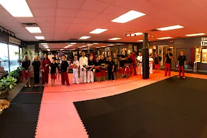 Lincoln Karate Clinic image