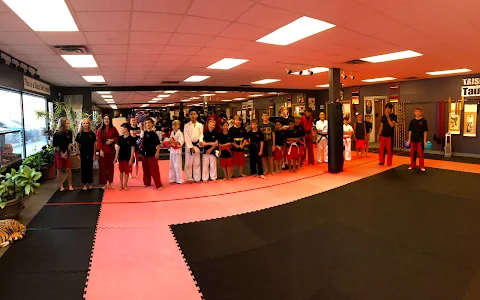 Lincoln Karate Clinic image