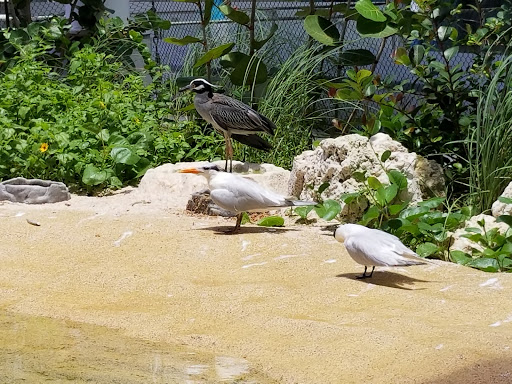 Park «Museum Park», reviews and photos, 1075 Biscayne Blvd, Miami, FL 33132, USA