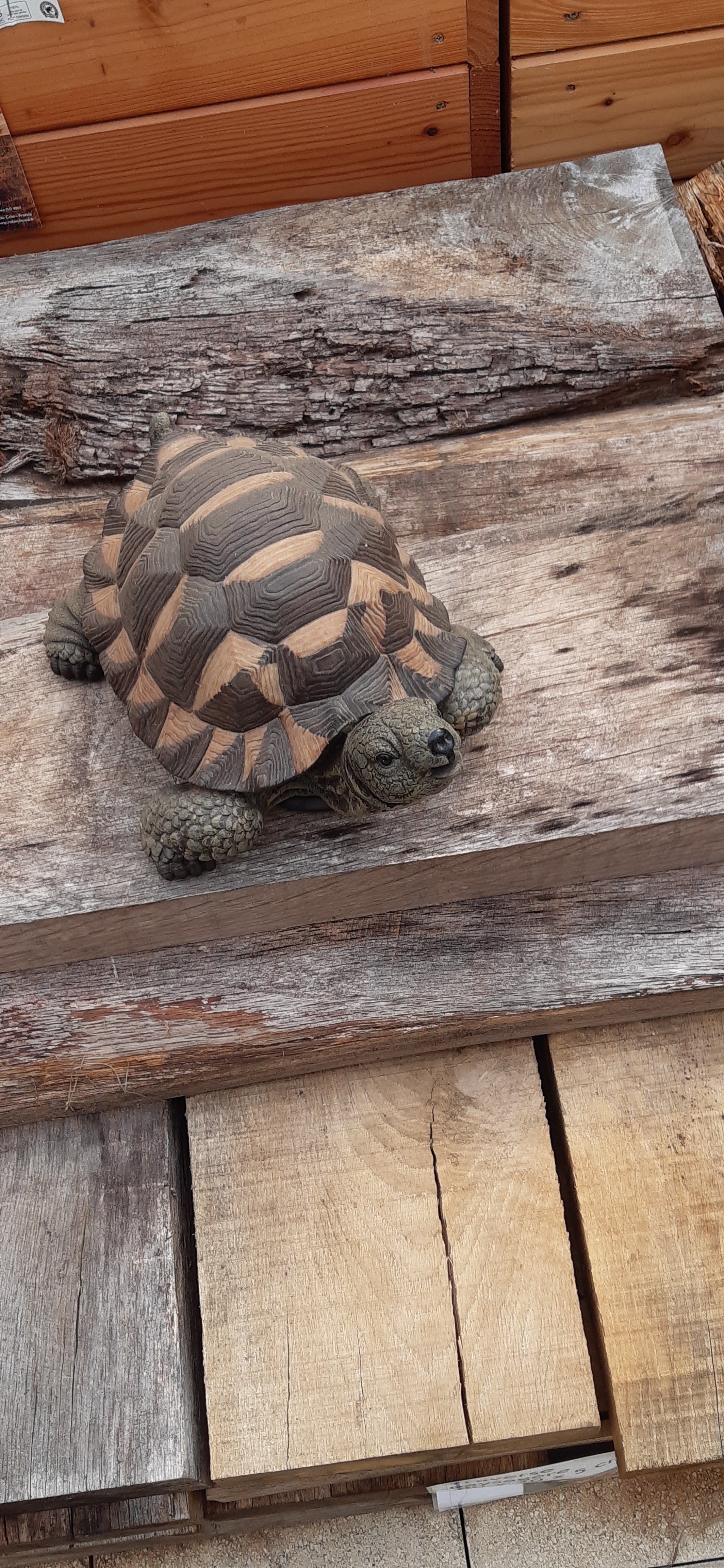 Photo n° 2 de l'avis de Thierry.� fait le 05/06/2020 à 16:55