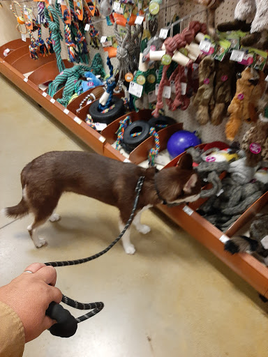 Pet Supply Store «PetSmart», reviews and photos, 2770 FM 365 c, Port Arthur, TX 77640, USA