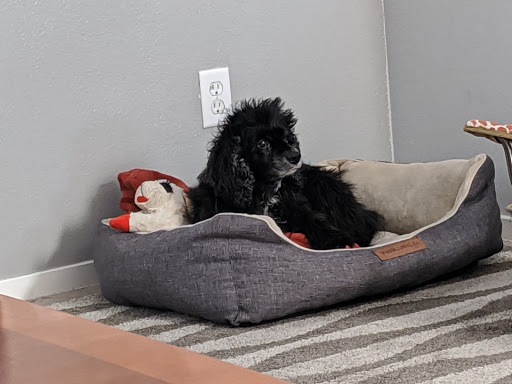 Pet Groomer «Woof Gang Bakery & Grooming Las Vegas», reviews and photos, 7080 N Durango Dr #140, Las Vegas, NV 89149, USA