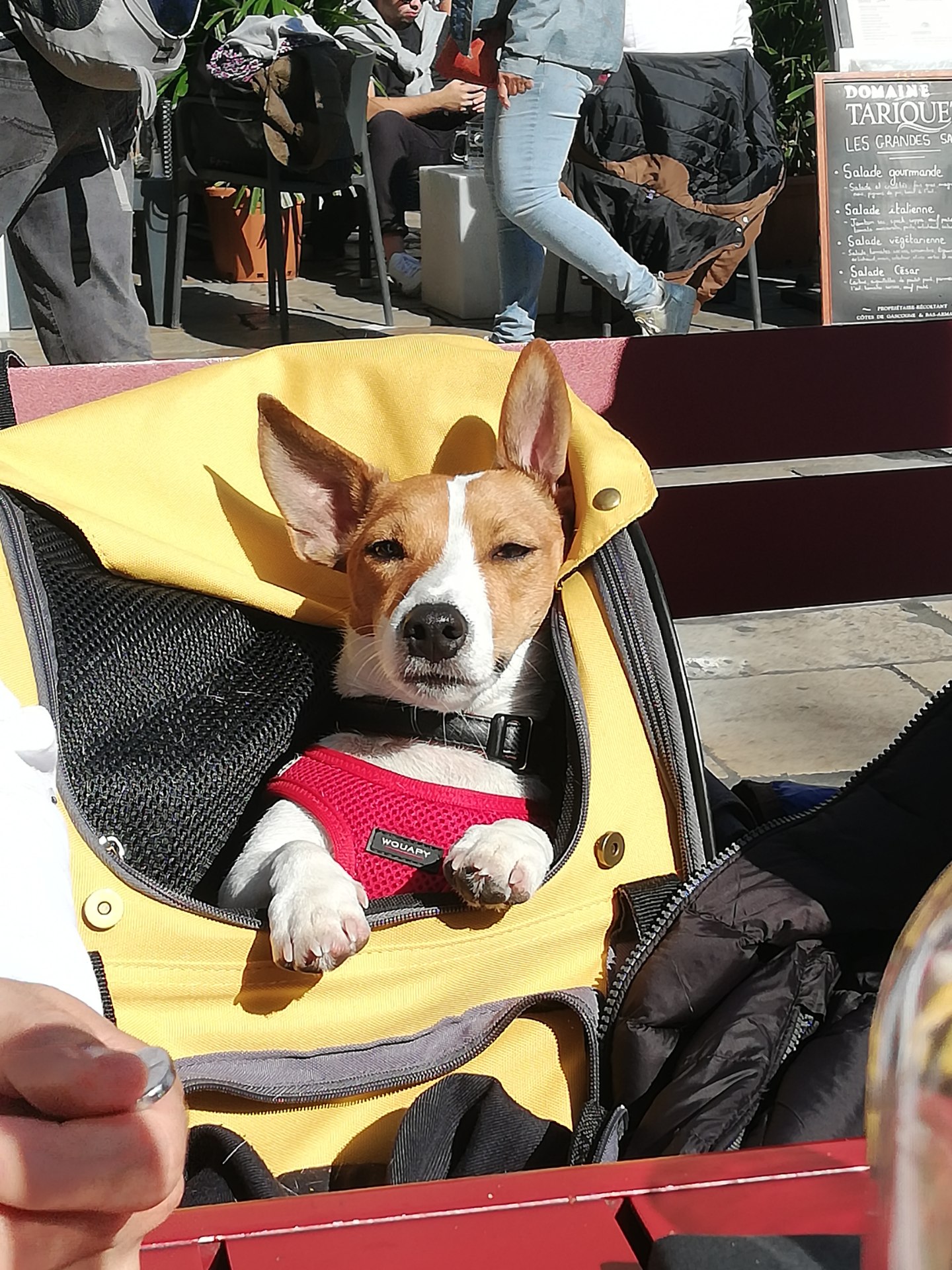 Photo n° 1 de l'avis de Philippe.� fait le 10/10/2021 à 14:41