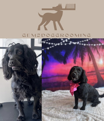Gemsdoggrooming