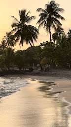 Photo n°62 de Caribbean Food Sainte-Luce, Restaurant à Sainte-Luce ()