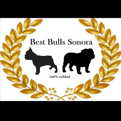 BestBulls Sonora