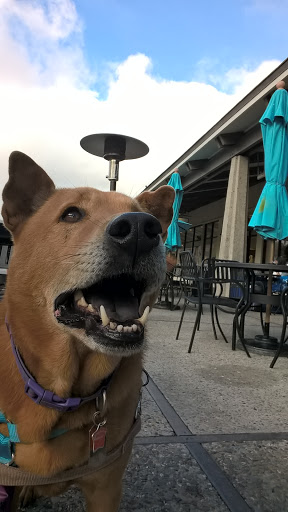 Hair Salon «Great Clips», reviews and photos, 393 Del Monte Center, Monterey, CA 93940, USA