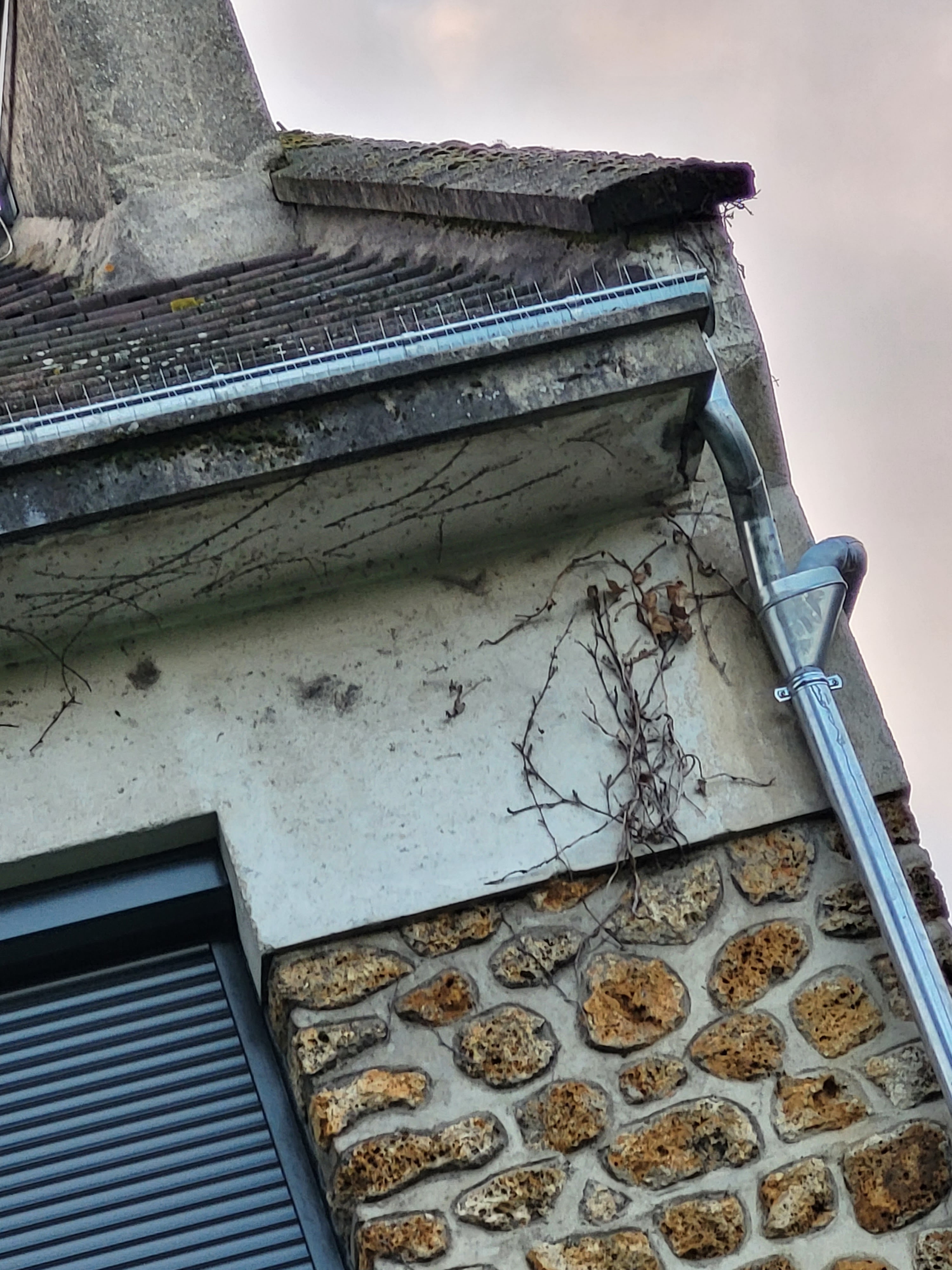 Photo n° 4 de l'avis de erwan.o fait le 07/05/2023 à 19:17