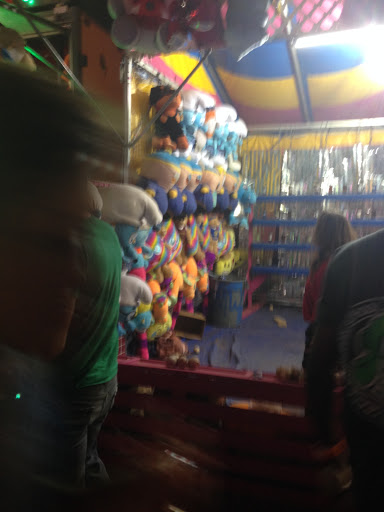 Insurance Company «Alexandria Mega Shelter», reviews and photos