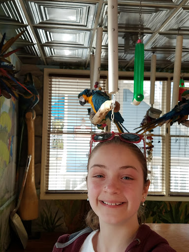 Ice Cream Shop «Salty Dog Ice Cream Factory», reviews and photos, 232 S Sea Pines Dr #304, Hilton Head Island, SC 29928, USA