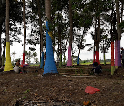 Taman Bunga Matahari photo