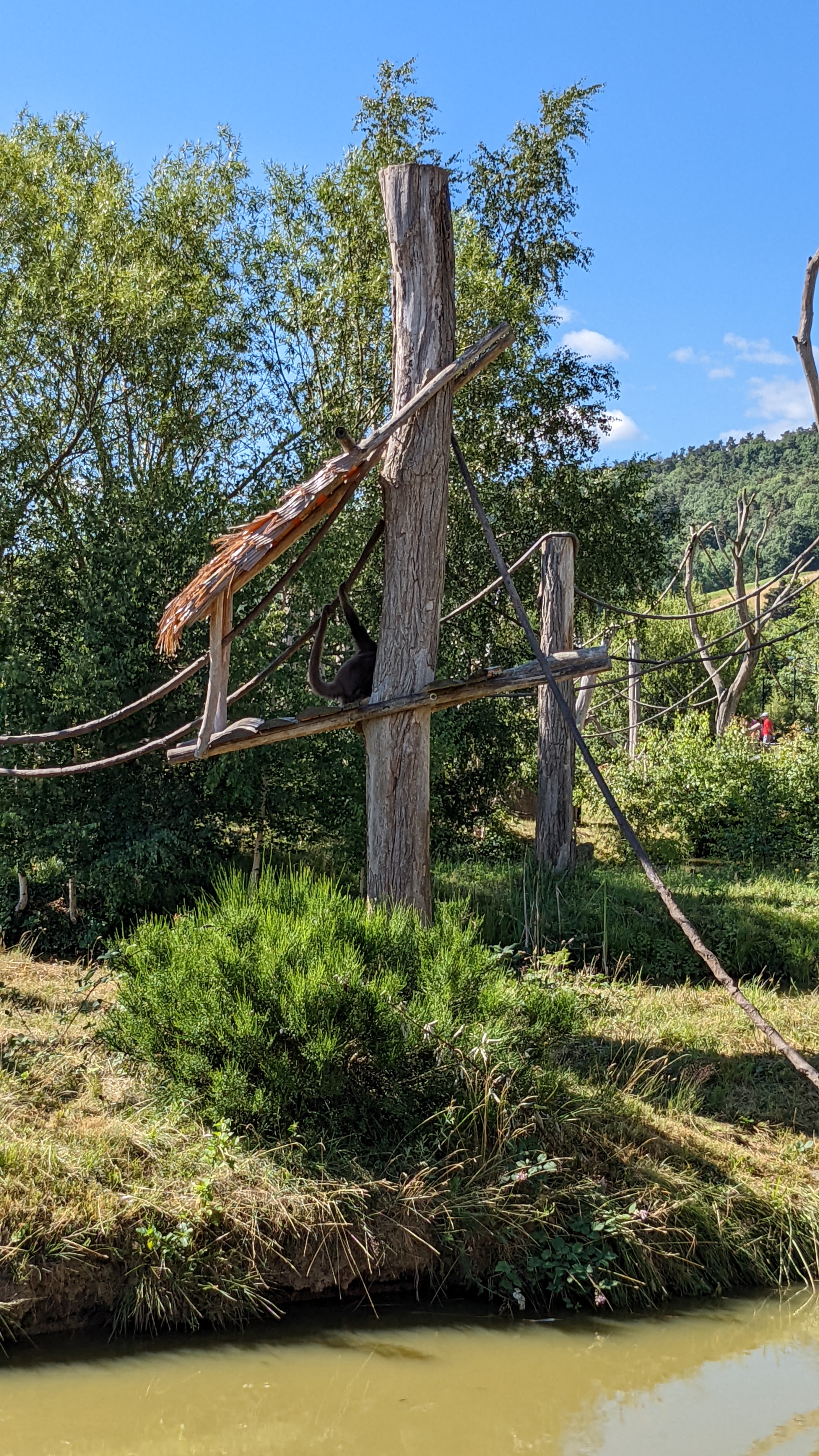 Photo n° 13 de l'avis de Patrice.a fait le 05/07/2022 à 18:27
