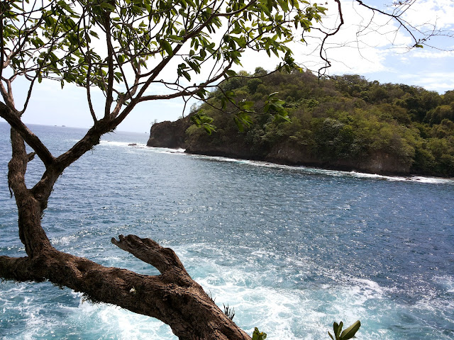 Playa Cocles by null