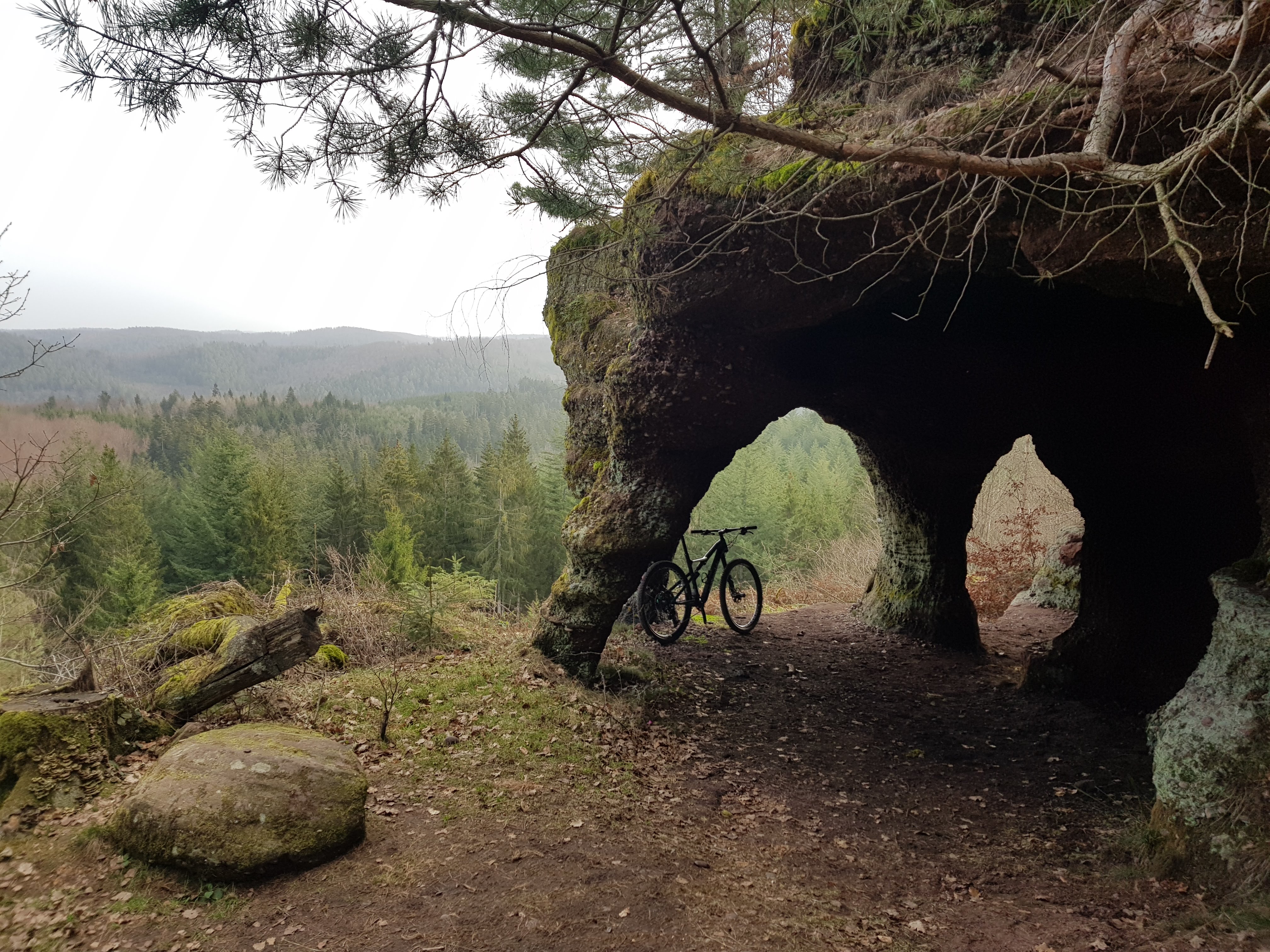 Photo n° 1 de l'avis de Jean-Marc.a fait le 16/03/2021 à 07:17