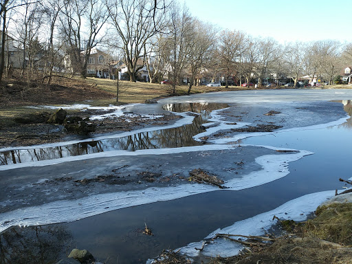 Park «Allison Pond Park», reviews and photos, 406 Prospect Ave, Staten Island, NY 10301, USA