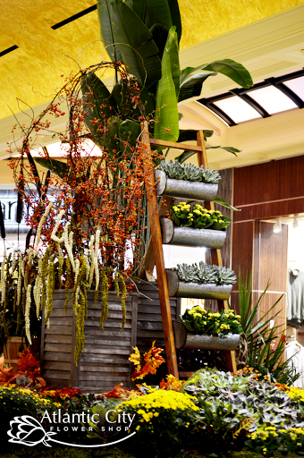 Florist «Atlantic City Flower Shop», reviews and photos, 2329 Atlantic Ave, Atlantic City, NJ 08401, USA