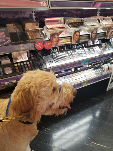 Cosmetics Store «SEPHORA», reviews and photos, 15900 La Cantera Pkwy #7720, San Antonio, TX 78256, USA