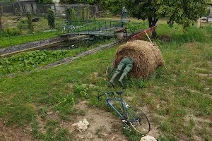 Château du Mollard Châteauneuf Loire 42800 image