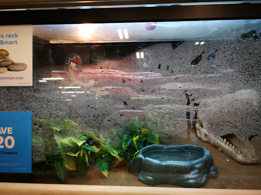 Pet Supply Store «PetSmart», reviews and photos, 950 Hanes Mall Blvd, Winston-Salem, NC 27103, USA