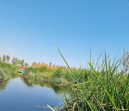 Ejidos De Xochimilco Y San Gregorio Atlapulco photo