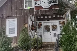 Black Bison Company image