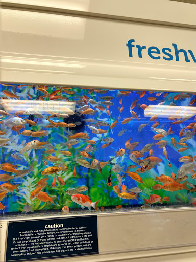 Pet Supply Store «Petco Animal Supplies», reviews and photos, 2255 East Ridge Road, Irondequoit, NY 14622, USA