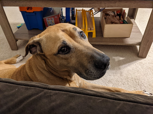 305 Ashville Ave C, Cary, NC 27518, USA