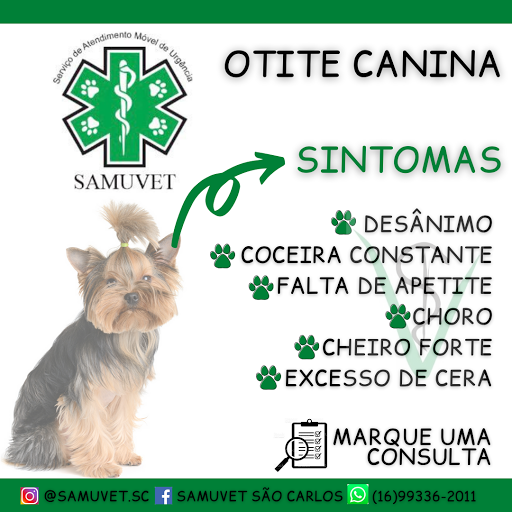 SamuVet São Carlos 24 horas em São Carlos - SP