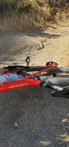 Bicycle Repair Shop «Two Wheel Jones Bicycles - Mesa», reviews and photos, 2837 N Power Rd #110, Mesa, AZ 85215, USA