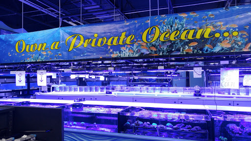 Pet Store «Tanks A Lot Aquariums», reviews and photos, 6680 Lantana Rd, Lake Worth, FL 33467, USA