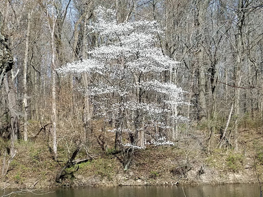 Park «Dietz Recreation Park Inc», reviews and photos, 1490 State Rd 46, Center Point, IN 47840, USA