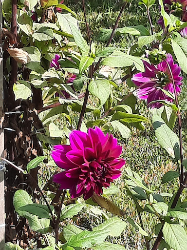 Winery «Leyden Farm Vineyard & Winery», reviews and photos, 160 Plain Meeting House Rd, West Greenwich, RI 02817, USA