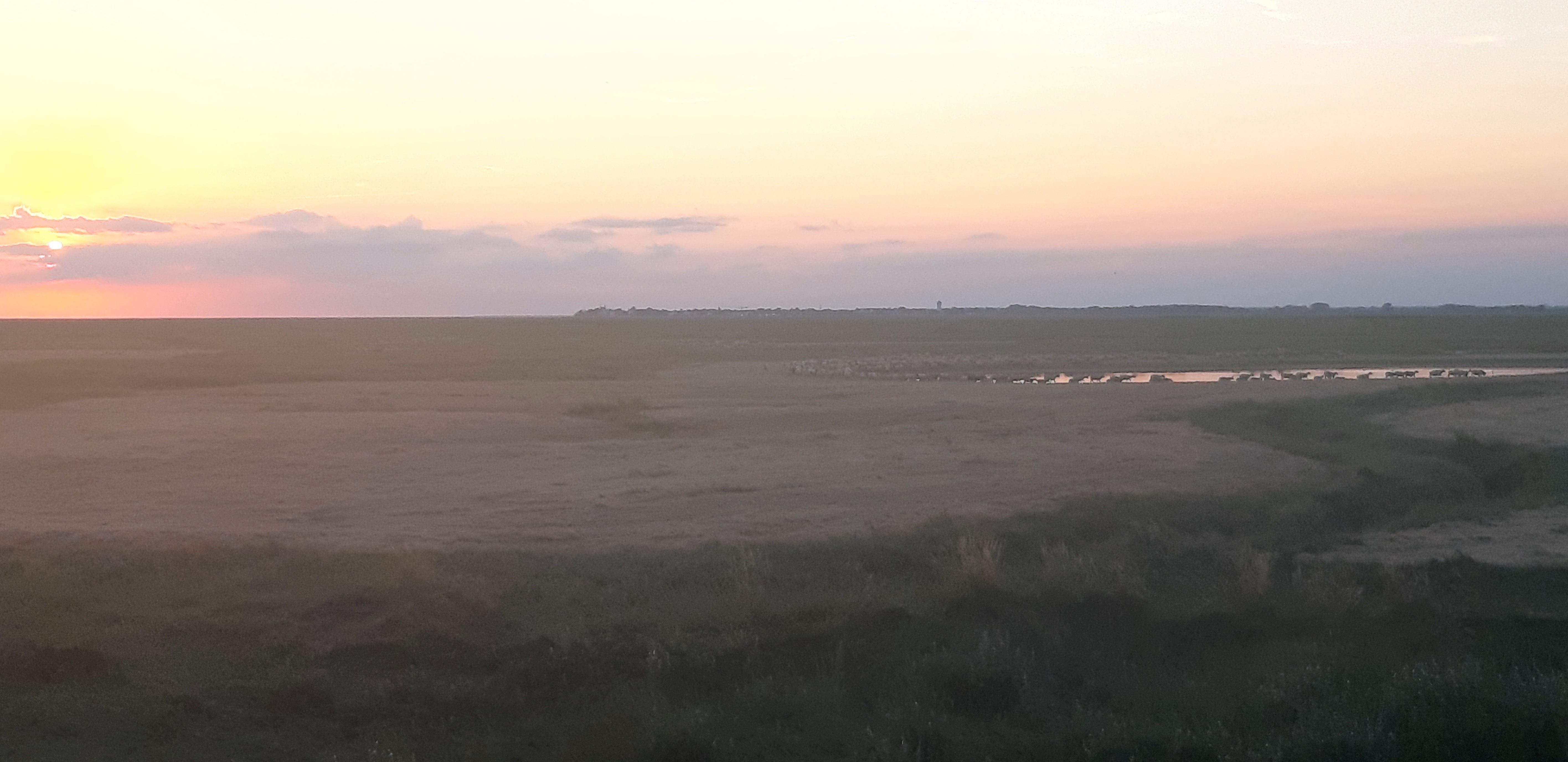 Photo n° 1 de l'avis de Christophe.a fait le 20/07/2022 à 10:36