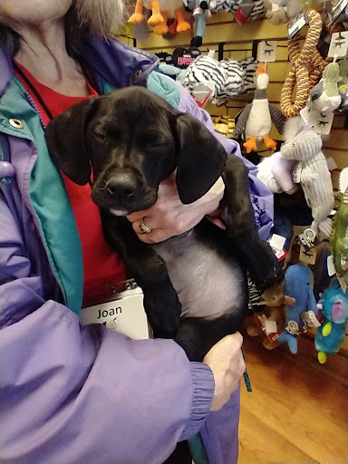 Pet Supply Store «Chew On This – A Bentley’s Pet Stuff Company», reviews and photos, 21 Ash St, Frankfort, IL 60423, USA