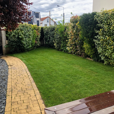 PAYSAGISTE ELAGUEUR ARGENTEUIL SANNOIS RUEIL MALMAISON CHATOU MAISON LAFFITE SAINT GERMAIN EN LAYE à Argenteuil