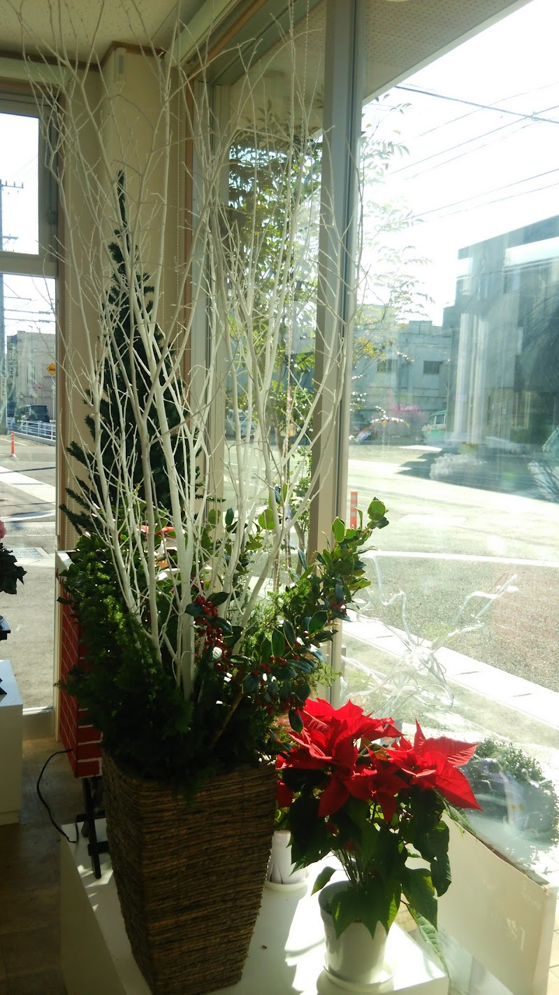 コジマ生花 愛知県知立市内幸町平田 花屋 花 グルコミ