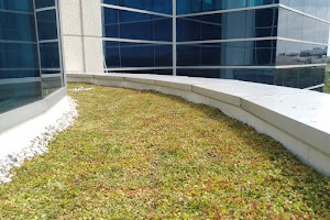 Skyspace Green Roofs