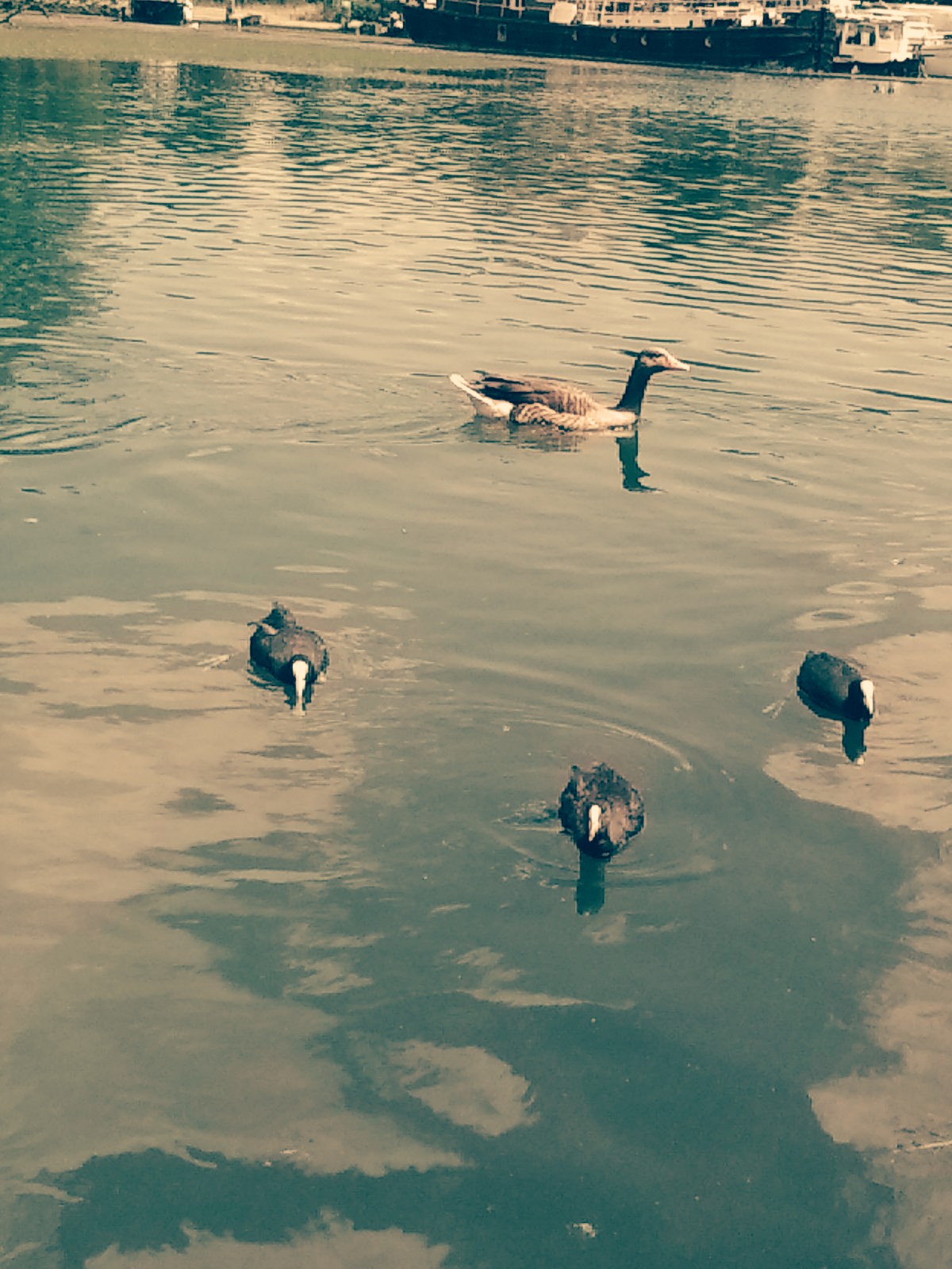 Photo n° 1 de l'avis de lauranny.o fait le 12/10/2019 à 12:04