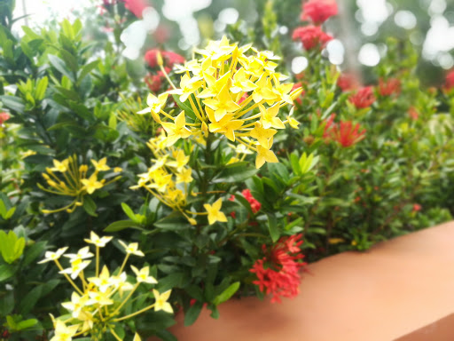 Nhà Trọ Nguyễn Như Tuyền