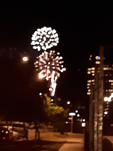 Bar «The Lost Leaf», reviews and photos, 914 N 5th St, Phoenix, AZ 85004, USA