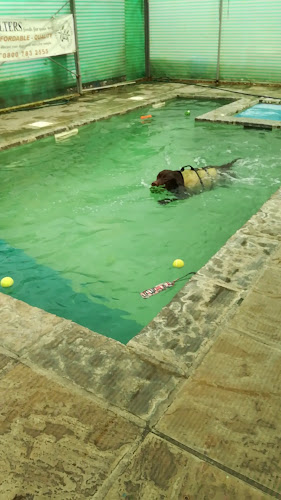 Reviews of Aquadoggies K9 Hydrotherapy Pool in Reading - Shop
