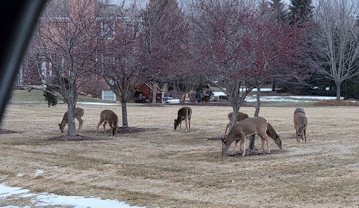 Park «Cary Park District», reviews and photos, 255 Briargate Rd, Cary, IL 60013, USA