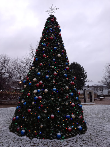 Grocery Store «KD Market», reviews and photos, 9500 Irving Park Rd, Schiller Park, IL 60176, USA