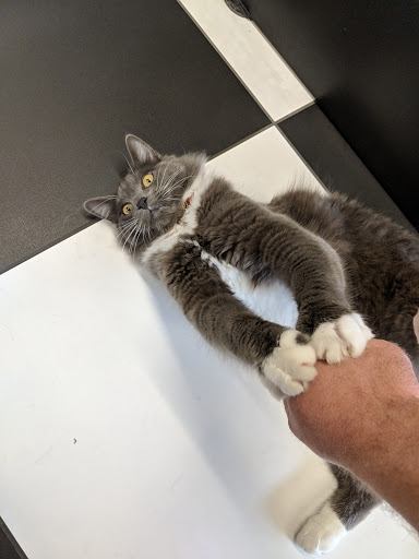 Pet Supply Store «Bark Avenue», reviews and photos, 3919 Park Dr, El Dorado Hills, CA 95762, USA