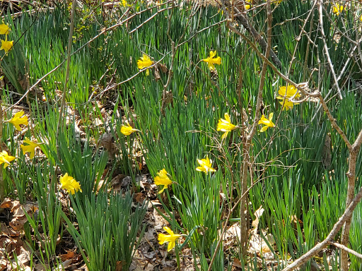 State Park «Taylorsville Lake State Park», reviews and photos, 1320 Park Rd, Mt Eden, KY 40046, USA